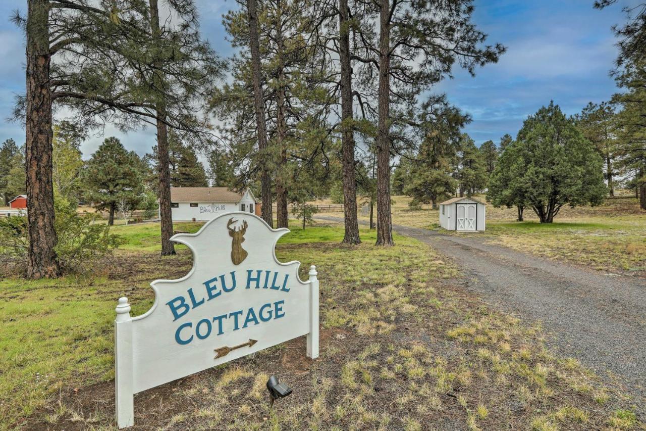 Ski Snow Bowl And Hike Cozy Flagstaff Cottage! Exterior foto